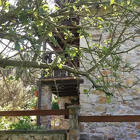 Holiday home La Casina De Abo