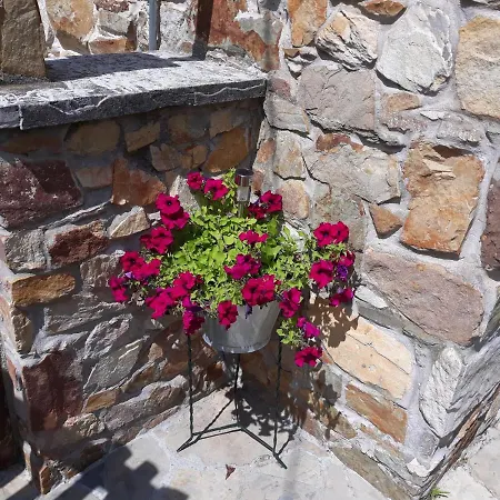 La Casina De Abo San Juan de Pinera