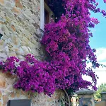 La Casina De Abo Holiday home San Juan de Pinera
